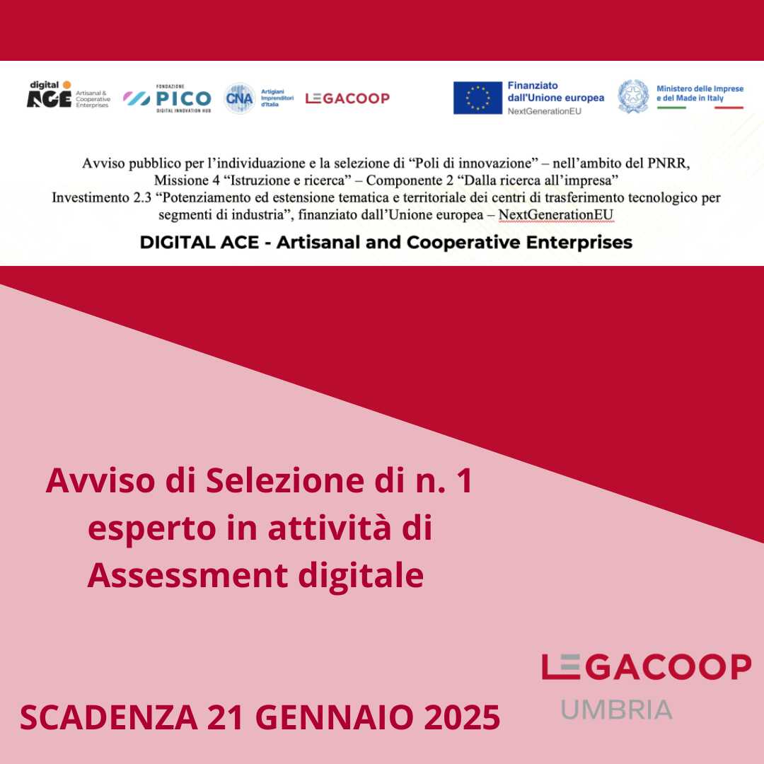 Avviso di Selezione di n. 1 esperto in attività di Assessment digitale, progetto Digital Ace